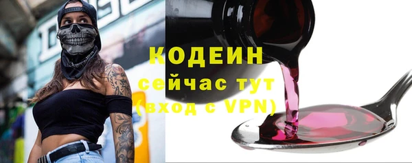 шишки Краснослободск