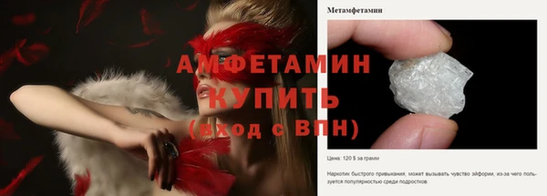 шишки Краснослободск