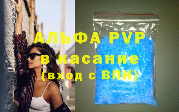 шишки Краснослободск