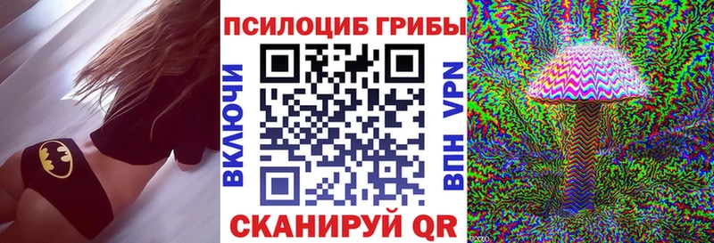 Псилоцибиновые грибы Psilocybine cubensis  Купить закладки  Кумертау 